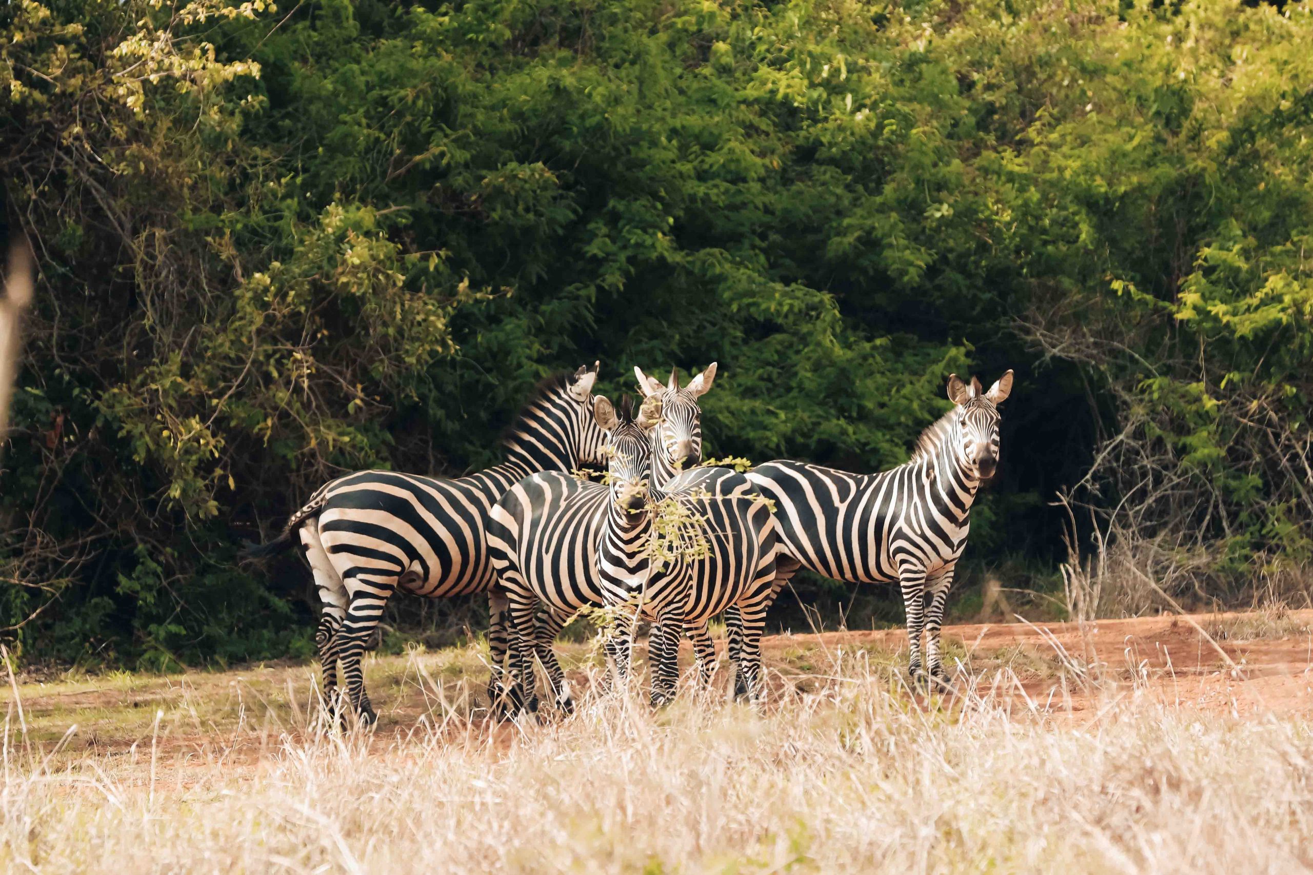 TANZANIA